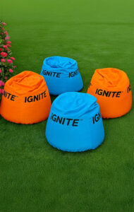 Beanbags / Poofs